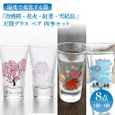 【ふるさと納税】温度で変化する器 天開 グラス ペア 四季 セット 『冷感桜 ・ 花火 ・ 紅葉 ・ 雪結晶』【丸モ高木陶器】≪多治見市≫ 食器 [TBA140]