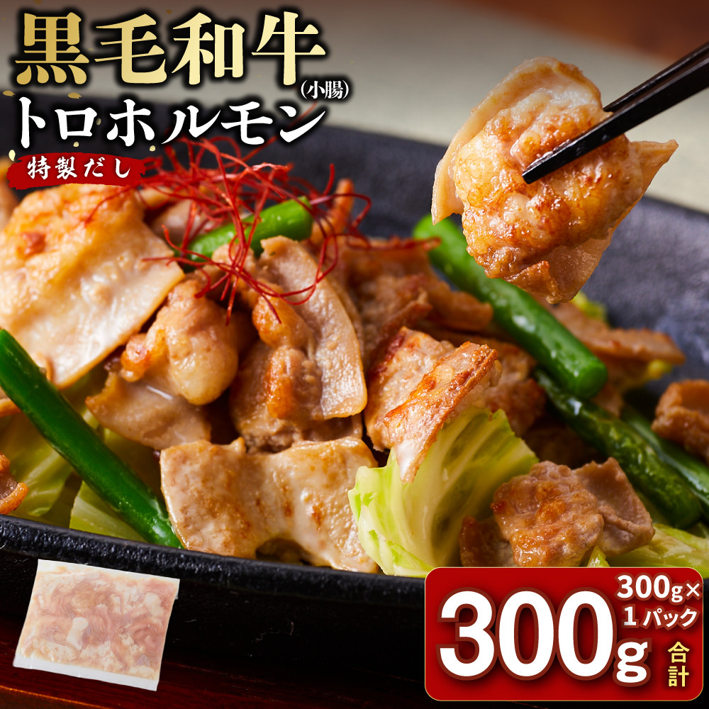 黒毛和牛トロホルモン（小腸）　特製だし0.3kg ( 300g × 1パック )【12月発送】【kw0096-0065-12】