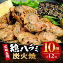 【ふるさと納税】鶏ハラミ炭火焼10個セット（ゆず胡椒付き） 希少部位 テレビ東京 白熱ランキング 全国ご当地食No.1 お肉 国産 食品 畜産物 宮崎県 宮崎市 送料無料