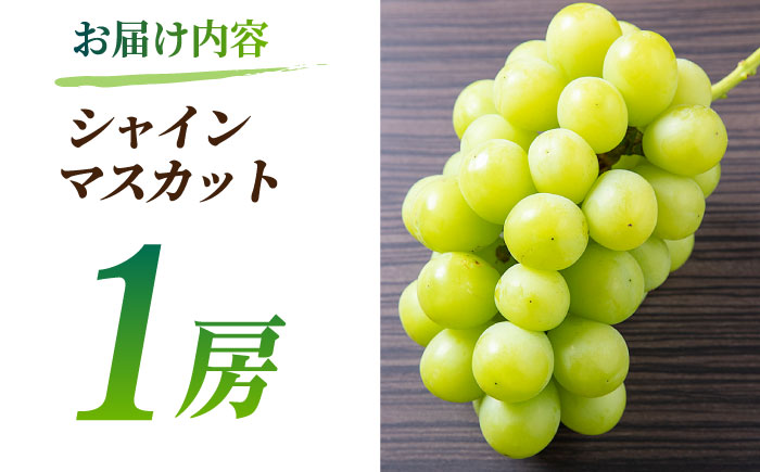【先行予約】【数量限定】食べ比べセット 800g（シャインマスカット & ピオーネ or Sブラック 各一房）【合同会社 社方園】 [ZBZ001]