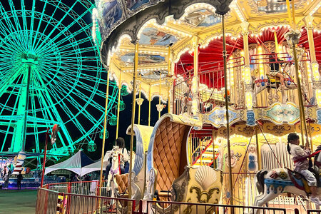 【要予約】夜のゆうえんち(日本モンキーパーク) 4時間貸切りプラン(200名まで)｜遊園地 テーマパーク 犬山 観光 体験 見どころ スポット イベント 貸切 ファミリー 旅行 社員旅行 愛知 岐阜 