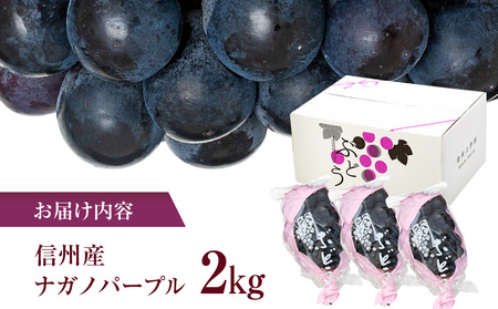 ナガノパープル 2kg ぶどう ナガノパープル