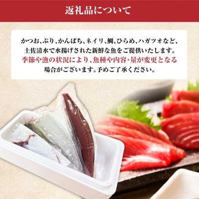 ふるさと納税 土佐清水市 下処理済 おまかせ鮮魚フィレ 2~3種 約1.5kg~2kg(10人前)  刺身【R01341】 |  | 03