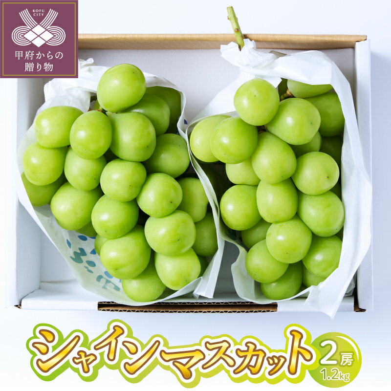 【ふるさと納税】 2026年 先行予約 シャインマスカット 山梨県 ブドウ 数量限定 種なし 皮ごと 糖度17度以上 2房 約1.2kg 糖度測定 2026年8月下旬～10月上旬にかけて順次出荷予定 果物 フルーツ 王国 山梨 k374-001