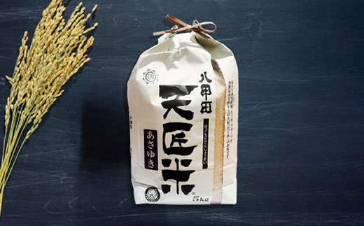 【令和6年産】あさゆき5キロ【1394106】