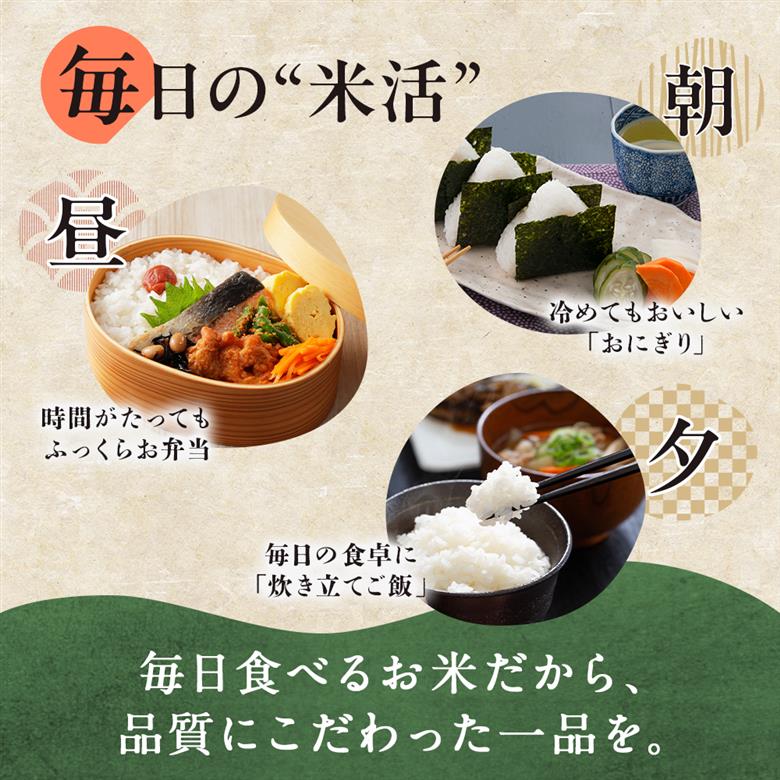 【定期便】令和8年産 あきたこまち 白米 15kg×9ヶ月【トライズ】