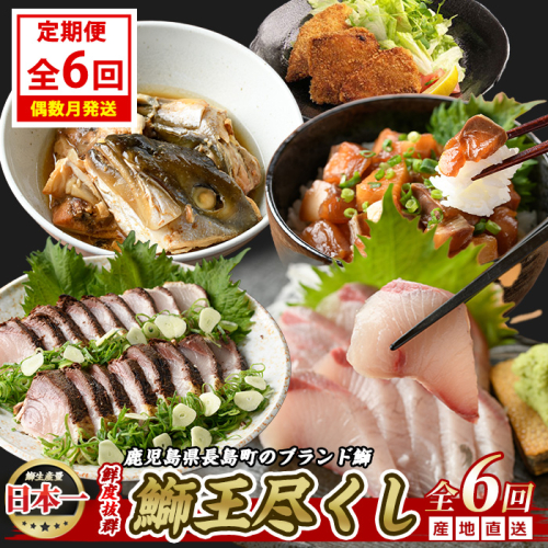 ＜定期便・2ヶ月毎 全6回＞ 鰤づくしの定期便 長島町特産「鰤王」新物鰤 ロイン フィレ 鰤カツ 漬け鰤 あら煮 鰤王タタキ 国産 鹿児島県産 産地直送【JFA】jfa-1388B