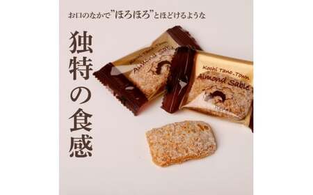 ★田野屋塩二郎完全天日塩★ アーモンドサブレ・ブリック 15個入り×4箱 