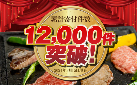 【ふるなび限定】飛騨牛 牛肉 焼肉 切り落とし 1kg|焼肉 FN-Limited-PR