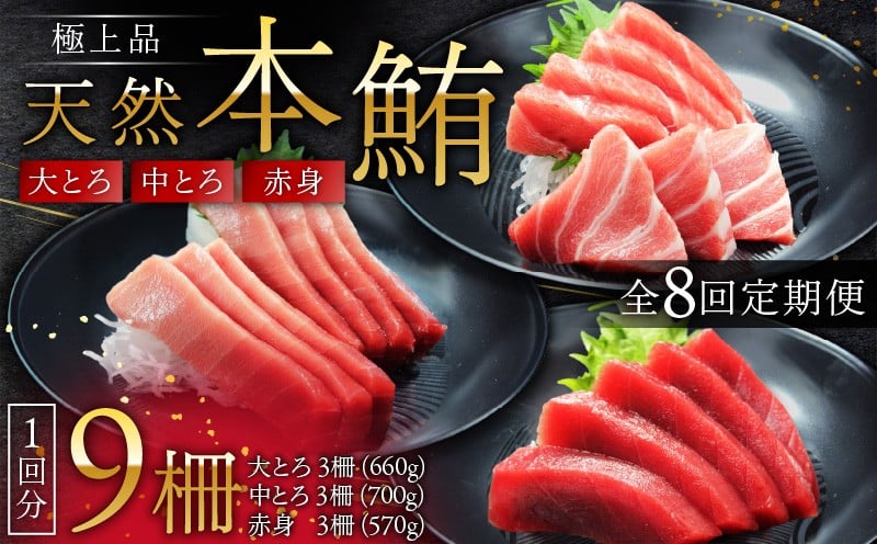 
            【定期便】極上品天然本鮪大とろ3柵中とろ3柵赤身3柵を8回分　M007-T04
          