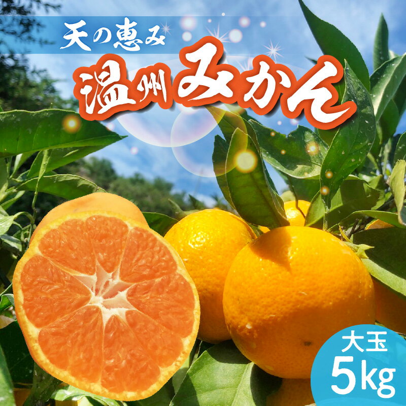 【ふるさと納税】天の恵み 温州みかん 大玉5kg【ミカン 蜜柑 柑橘 温州みかん 和歌山】