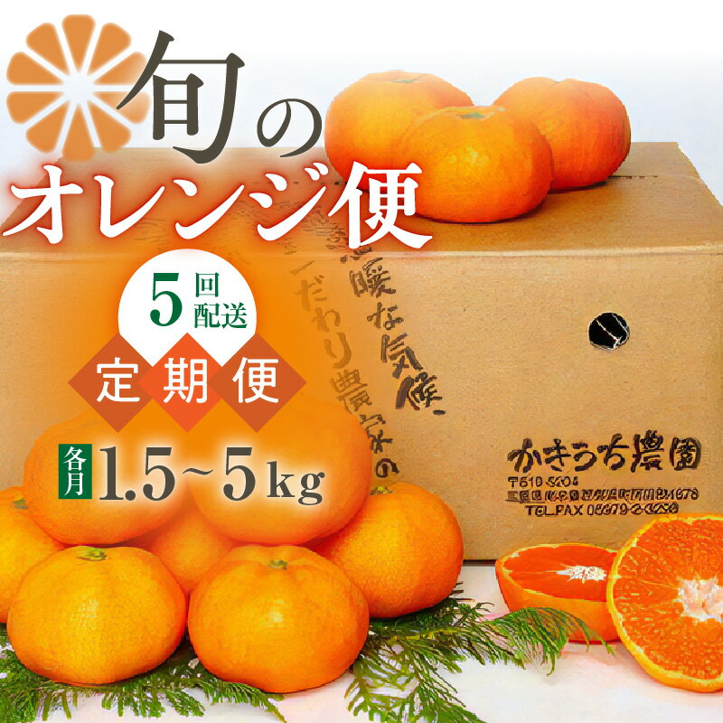 【ふるさと納税】かきうち農園 オレンジ 定期便 (全5回)
