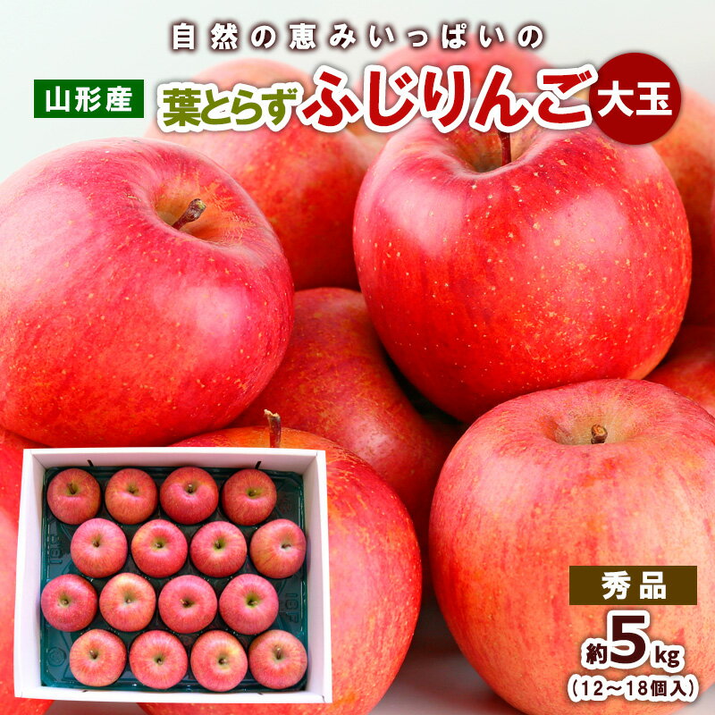 【ふるさと納税】自然の恵みいっぱいの葉とらずふじりんご 大玉 約5kg リンゴ 林檎 フルーツ 果物 お取り寄せ 送料無料 FY25-924