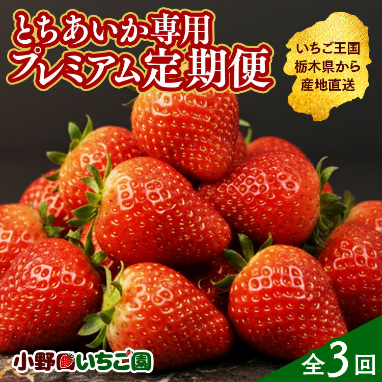 【ふるさと納税】【定期便3ヶ月】とちあいか専用 プレミアム定期便 ｜ とちあいか イチゴ 苺 栃木県 果物 フルーツ 栃木県 壬生町 産地直送 ※2027年1月頃より順次発送予定 ※離島への配送不可