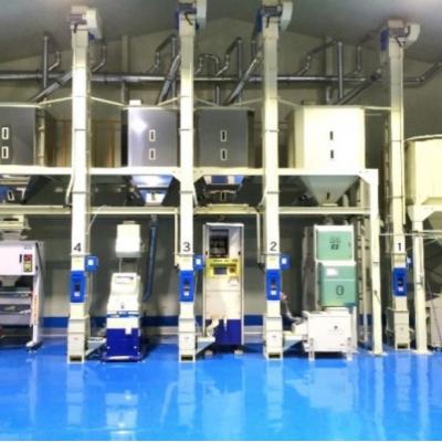 ふるさと納税 小郡市 定期便12回 1等級米 にこまる 無洗米5kg[No5354-2375] |  | 01