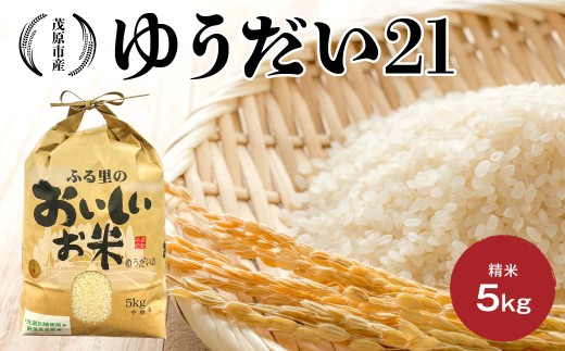 ゆうだい21　精米　5kg 【 米 精米 新米 コメ ゆうだい21 千葉県 茂原市 送料無料 ふるさと納税 】MBBK002