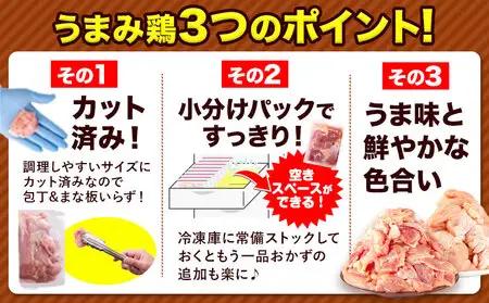 【3ヶ月定期便】鶏肉 もも肉 1.24kg×3