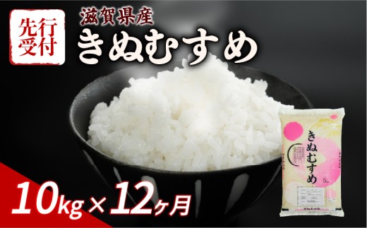 【令和8年産】 先行予約 新米 きぬむすめ 10kg ( 5kg ×2) 12回定期便 令和8年産 定期便 米 精米 こめ コメ お米 ご飯 米 キヌムスメ 米定期便 12か月定期便 12ヶ月定期便 12回 12ヶ月 12か月 1年 1年定期便 滋賀 彦根