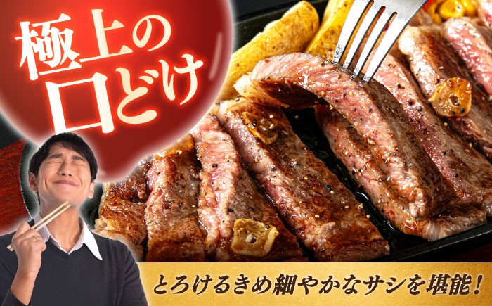 ステーキ肉 厚切り 赤身 希少部位 お肉 牛肉 黒毛和牛