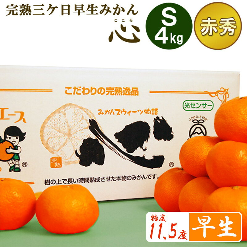 【ふるさと納税】果物 完熟三ヶ日早生みかん 4kg 48個前後 心 赤秀品 Sサイズ 静岡県浜松市産 柑橘類 フルーツ 甘い 高糖度 機能性表示食品　お届け：2026年12月上旬～2026年12月下旬