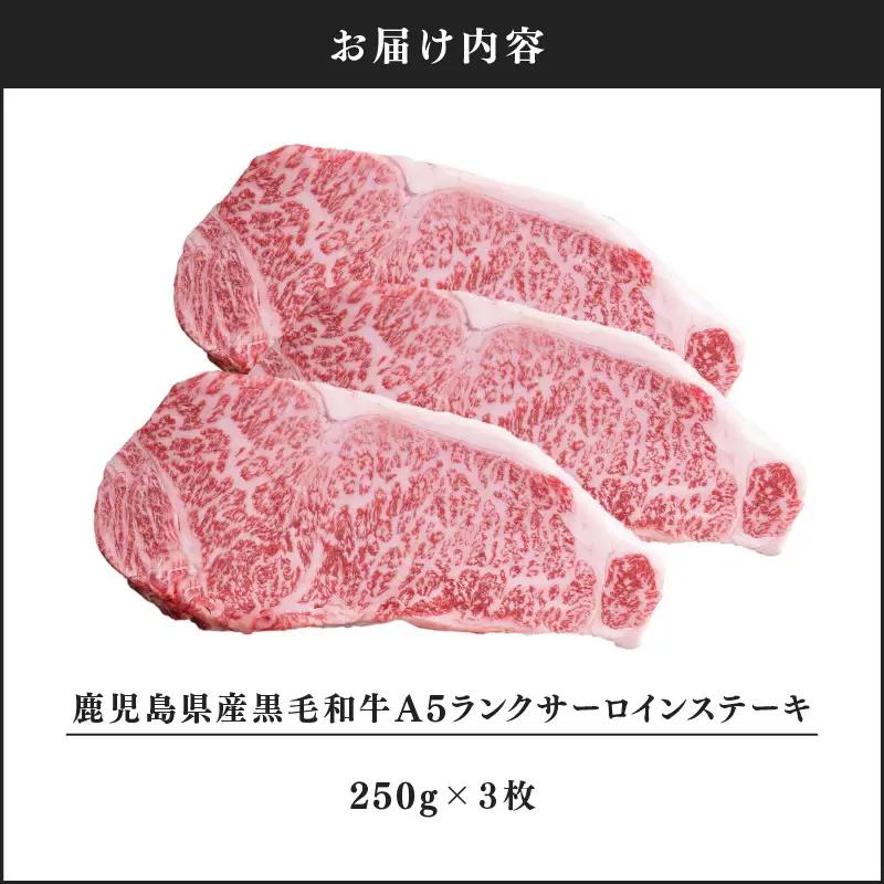 1398-1 鹿児島県産黒毛和牛A5ランクサーロインステーキ 750g（250g×3枚） KN041-001-02 肉 牛肉 冷凍