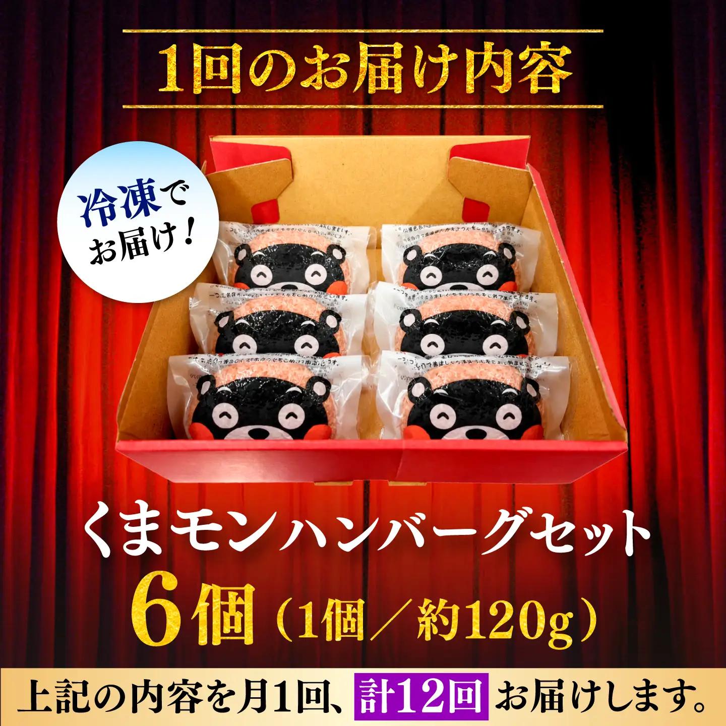 12回定期便 くまモン ハンバーグ セット（あか牛100％使用）BHAS059 ハンバーグ