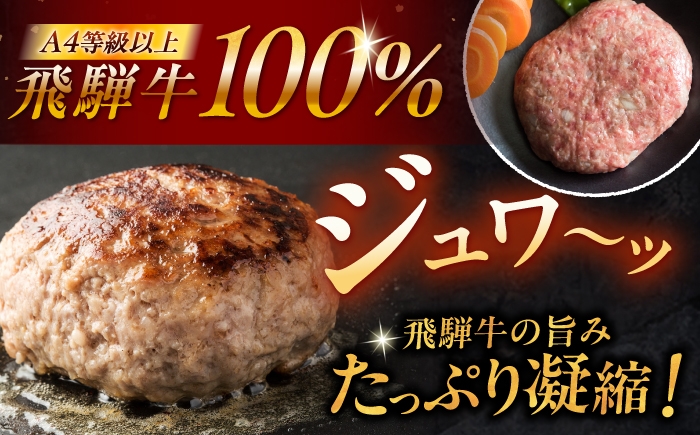 飛騨牛ハンバーグ 牛肉 和牛 国産 お肉 惣菜 おかず ゆず 柚子 柚子ぽん酢 贈答 ギフト おすすめ 人気 岐阜県 恵那市