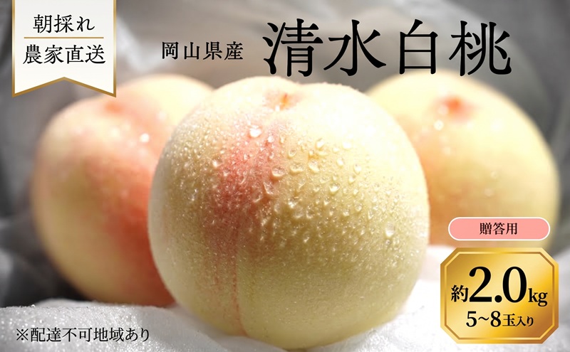 桃 2027年 先行予約 岡山県産 清水白桃 贈答用 2.0kg(5～8玉) 朝採れ 農家直送 