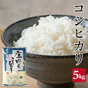【ふるさと納税】コシヒカリ 5kg 令和6年産米 山形県庄内産 東北 遊佐町 庄内地方 庄内平野 米 お米 精米 白米 庄内米 ごはん ご飯
