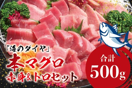 本マグロ（養殖）トロ＆赤身セット 500g 【11月発送】 高級 クロマグロ  中トロ 中とろ  まぐろ マグロ 鮪 刺身 赤身 柵 じゃばらまぐろ 本マグロ 本鮪【nks110D-11】