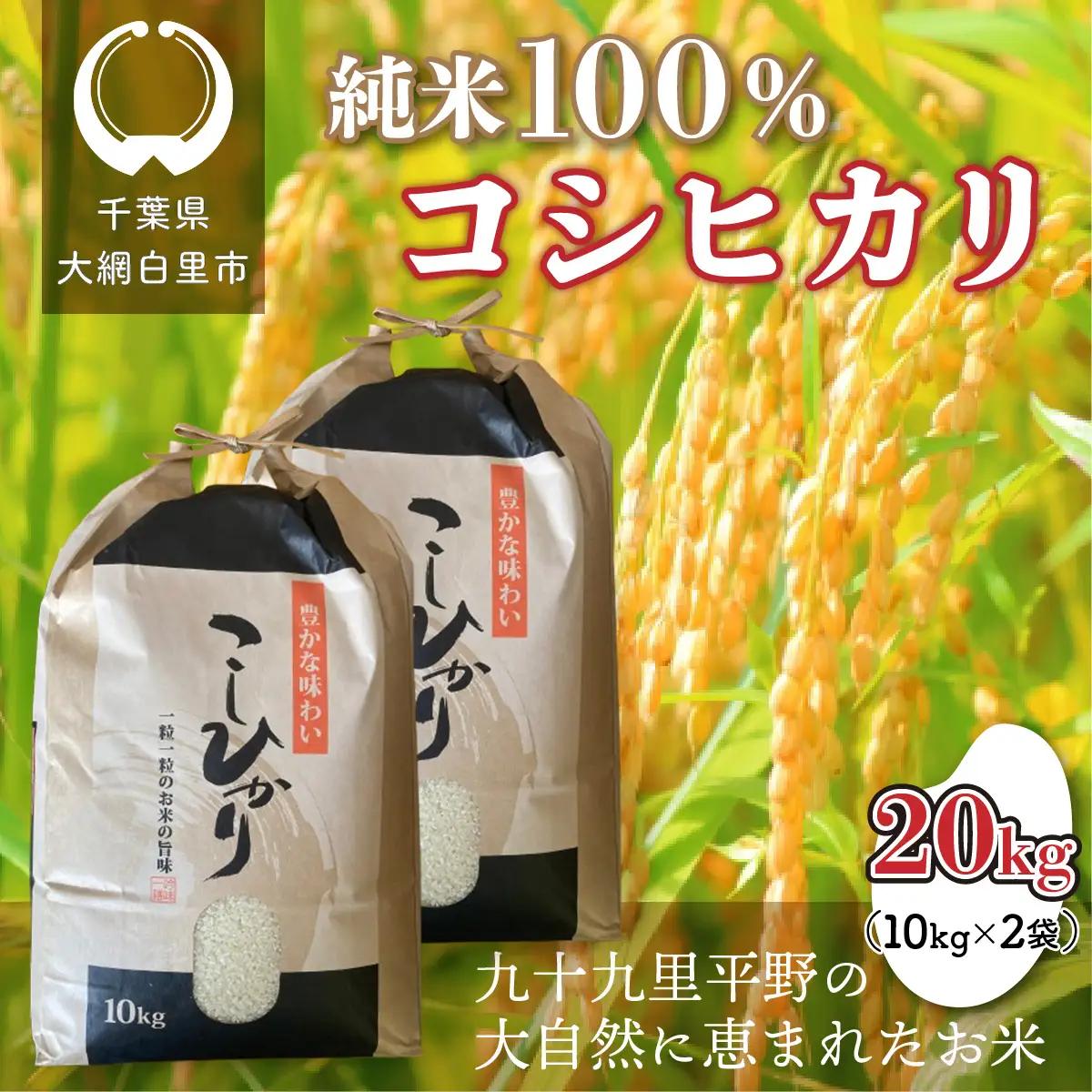 千葉県 大網白里市産 コシヒカリ 20kg（5kg×4袋）