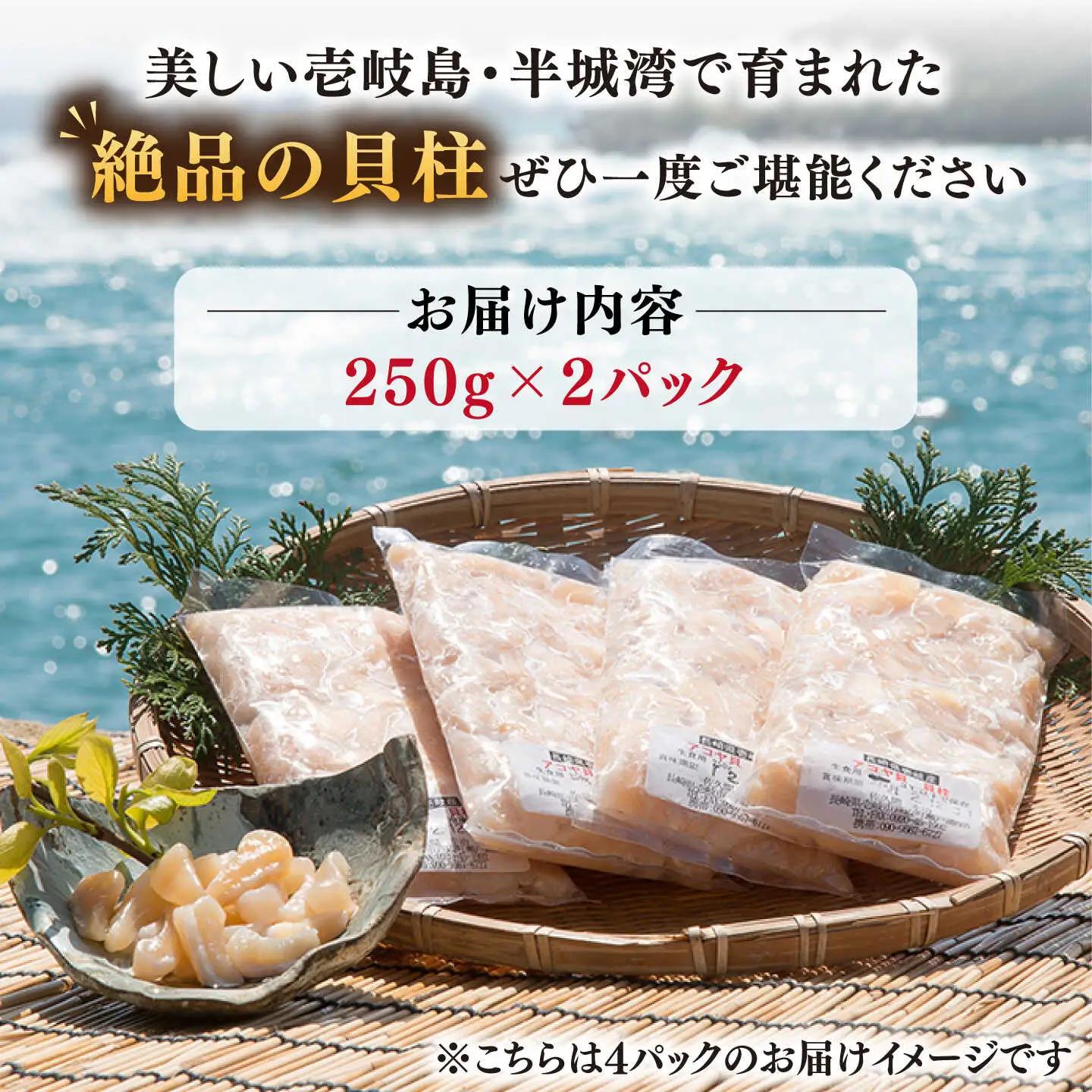 【ふるなびWEEK対象】アコヤ 貝 貝柱 500g [JCJ022]