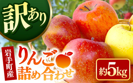 岩手町産りんご詰め合わせ約5kg【訳あり】 令和7年産 不揃い サンふじ シナノゴールド シナノスイート 北斗 果物 