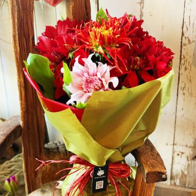 ふるさと納税 酒田市 とれたて「酒田のダリアの花束」〜旬の彩りと華やぎを産地からお届け〜