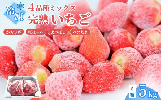 【先行予約】冷凍いちご5kg | イチゴ 苺 ストロベリー ベリー 食べ比べ 果物 くだもの フルーツ 野菜 美味しい おいしい 甘み ほのかな酸味 デザート スイーツ ギフト 贈り物 ビタミン 健康 埼玉県 久喜市