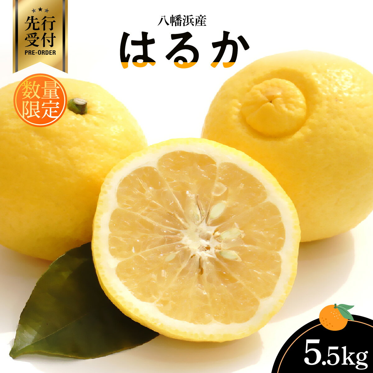 【ふるさと納税】【先行受付】八幡浜産・はるか5.5kg[数量限定!]【C56-10】みかん ミカン 柑橘 フルーツ くだもの 果物 青果 ふるーつ 甘い ジューシー 産直 産地直送 旬 愛媛 八幡浜 ふるさと【1138744】 YWTAS005