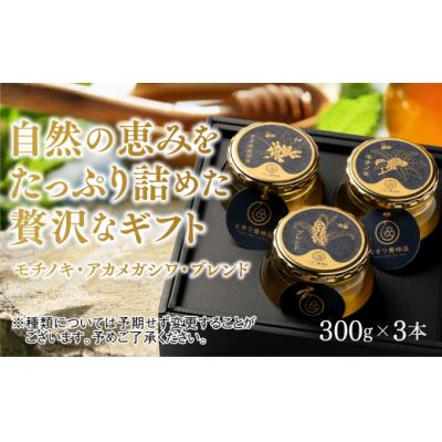 ふるさと納税 山口市 山口県産　愛情いっぱいはちみつギフトセット大(300g×3本) B060