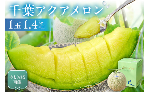 【TVで紹介！】【通常配送】のし対応可能 千葉アクアメロン(マスクメロン)1玉 mi0018-0002【メロン 青肉 ギフト 贈答 プレゼント フルーツ 果物】