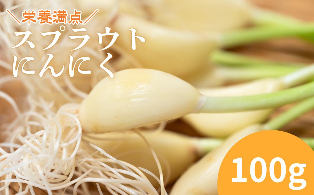 
            ファーム吉五郎　スプラウトにんにく　100g
          