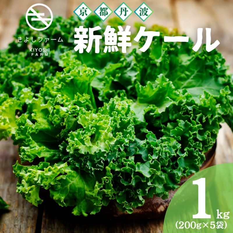 【ふるさと納税】カリーノケール 1kg (200g×5) セット 詰め合わせ 野菜 旬の野菜 季節の野菜 新鮮野菜 ケール スーパーフード サラダ 炒め物 スムージー 京都 京都府 南丹市
