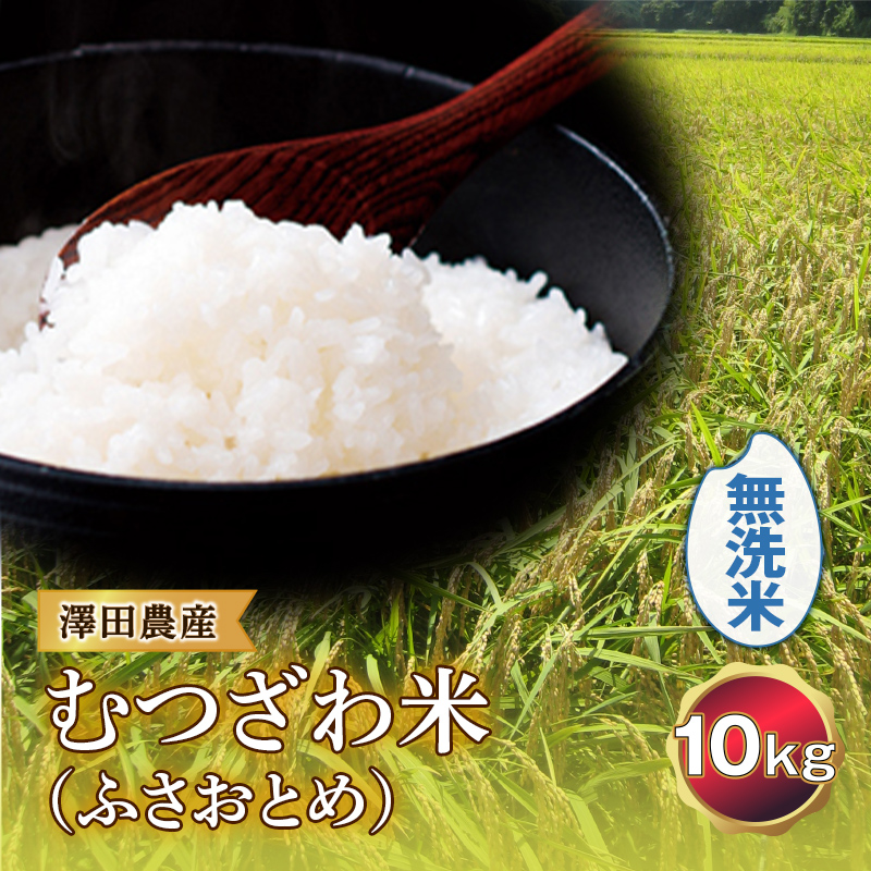 令和5年産米 むつざわ米 （ふさおとめ） 無洗米 10kg 澤田農産 F21G-172