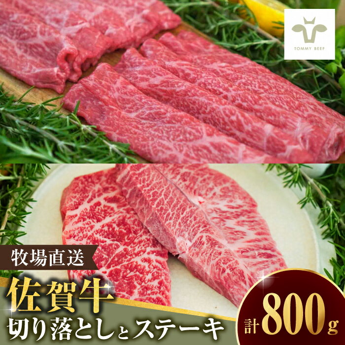 【ふるさと納税】【家計お助け返礼品】至福の切り落とし500gと赤身ステーキ300g / 国産和牛 牛肉 / 佐賀県 / 有限会社佐賀セントラル牧場 [41ASAA096]