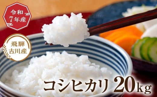令和7年産 飛騨の蔵出し コシヒカリ 20kg 20キロ お米 精白米 こしひかり 米 お米 精米 白米