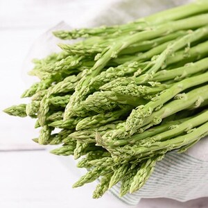 【令和8年産】先行受付!春芽アスパラガス約1kg(L～2Lサイズ 25～45本前後)_野菜 アスパラガス  _【配送不可地域：離島・北海道・沖縄県・信越、北陸・東海・近畿・中国・四国・九州】【1470