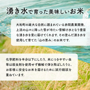 ＜令和7年産 新米 先行予約！2025年10月から順次発送予定＞ ひとめぼれ 10kg お米 おこめ 米 コメ 白米 ご飯 ごはん おにぎり お弁当【赤間農業開発株式会社】ta461