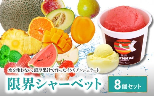 
限界シャーベット 8個セット 水不使用 フルーツ ジェラート アイス シャーベット 冷凍 大分県 季節 果物 デザート J06005
