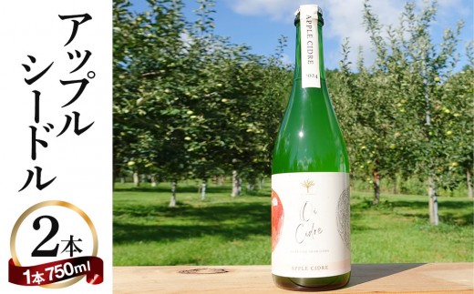 【数量限定】oi cidre（オイシードル）APPLE CIDRE 2本入り