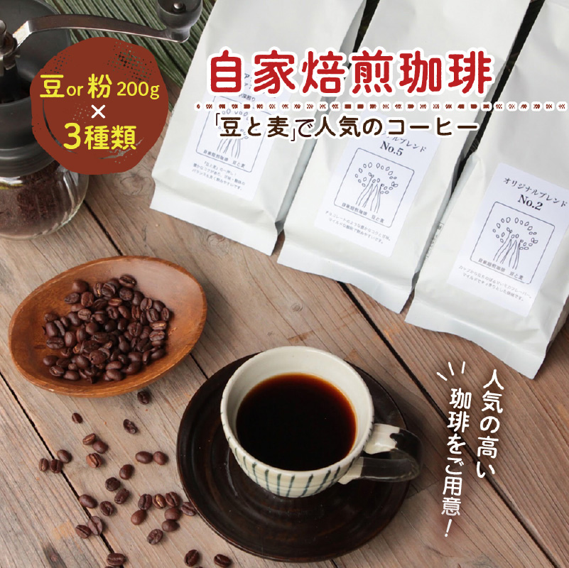 【自家焙煎】豆と麦の人気コーヒー200g×3種類セット(豆) - 自家焙煎コーヒー 詰め合わせ 3種 各200g セット 豆 グアテマラ コロンビア エチオピア ブラジル モカ 奄美大島 オリジナルブ