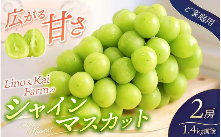 【2026年先行予約】 【ご家庭用】 Lino＆Kai Farmのシャインマスカット 2房（1.4kg前後） 化粧箱入 / 朝採れ ぶどう 岡山 真庭市 シャインマスカット 高級 ギフト 大粒 果物 贈答 人気 産地直送 国産 数量限定 種なし 【linokai008-02】
