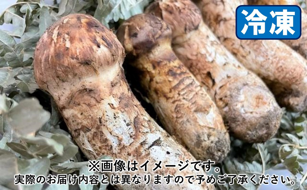 
            久慈産【冷凍】天然松茸「サイズ、つぼみ、開きおまかせ」１kg
          